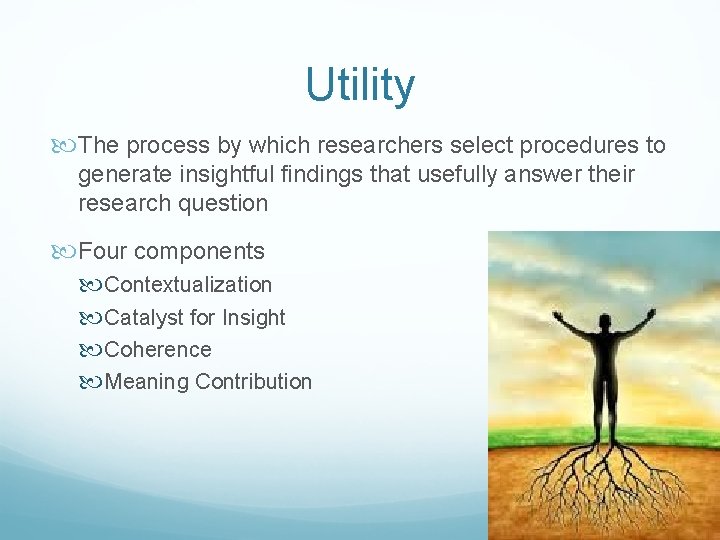 Utility The process by which researchers select procedures to generate insightful findings that usefully
