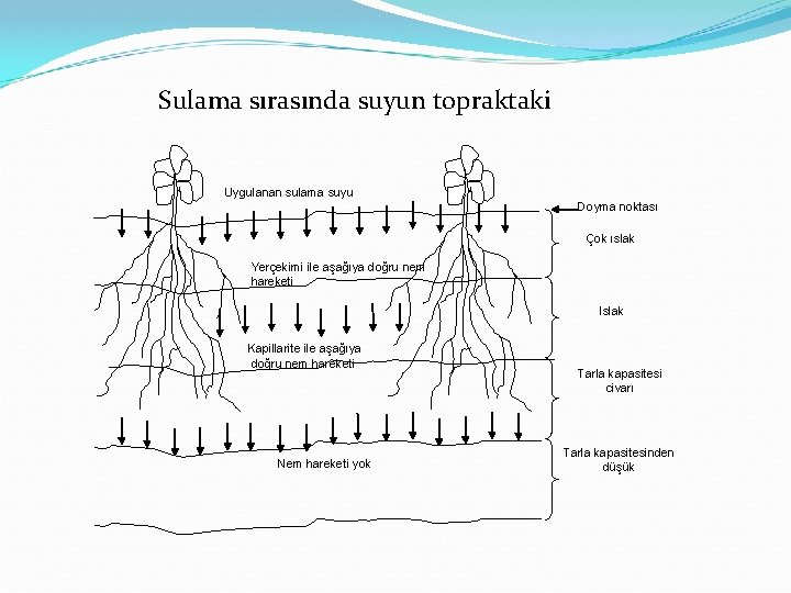 Sulama sırasında suyun topraktaki Uygulanan sulama suyu Doyma noktası Çok ıslak Yerçekimi ile aşağıya