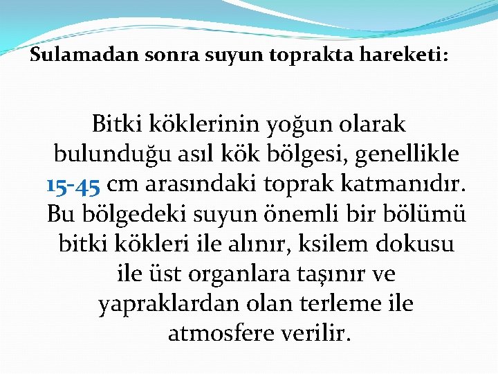 Sulamadan sonra suyun toprakta hareketi: Bitki köklerinin yoğun olarak bulunduğu asıl kök bölgesi, genellikle