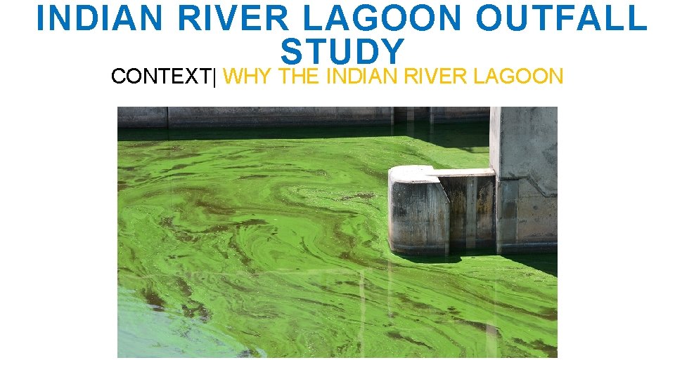 INDIAN RIVER LAGOON OUTFALL STUDY CONTEXT| WHY THE INDIAN RIVER LAGOON 