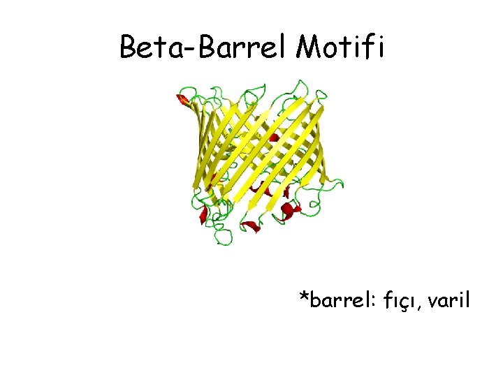 Beta-Barrel Motifi *barrel: fıçı, varil Beta-Barrel Motifi *barrel: fıçı, varil
