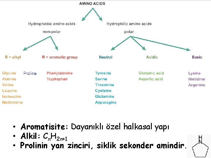 • Aromatisite: Dayanıklı özel halkasal yapı • Alkil: Cn. H 2 n+1 • • Aromatisite: Dayanıklı özel halkasal yapı • Alkil: Cn. H 2 n+1 •