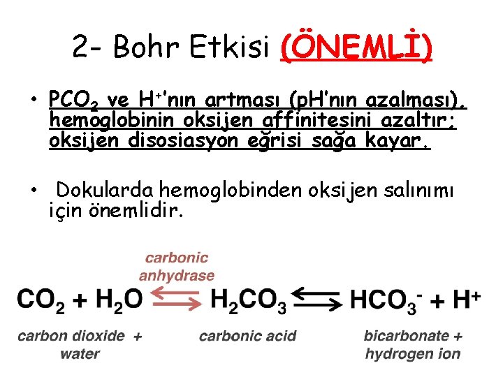 2 - Bohr Etkisi (ÖNEMLİ) • PCO 2 ve H+’nın artması (p. H’nın azalması), 2 - Bohr Etkisi (ÖNEMLİ) • PCO 2 ve H+’nın artması (p. H’nın azalması),