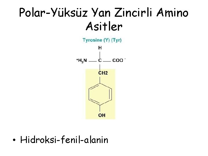 Polar-Yüksüz Yan Zincirli Amino Asitler • Hidroksi-fenil-alanin Polar-Yüksüz Yan Zincirli Amino Asitler • Hidroksi-fenil-alanin