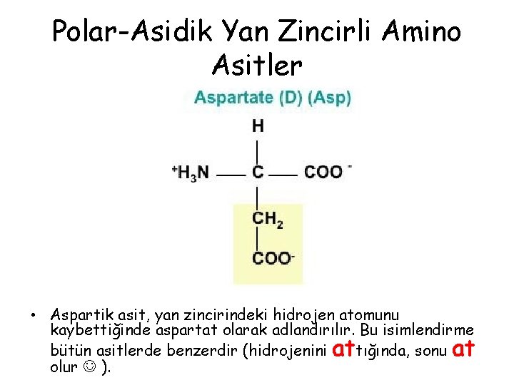 Polar-Asidik Yan Zincirli Amino Asitler • Aspartik asit, yan zincirindeki hidrojen atomunu kaybettiğinde aspartat Polar-Asidik Yan Zincirli Amino Asitler • Aspartik asit, yan zincirindeki hidrojen atomunu kaybettiğinde aspartat