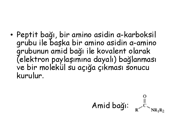 • Peptit bağı, bir amino asidin α-karboksil grubu ile başka bir amino asidin • Peptit bağı, bir amino asidin α-karboksil grubu ile başka bir amino asidin