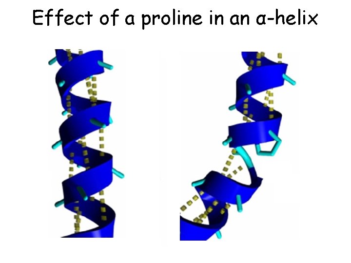 Effect of a proline in an α-helix Effect of a proline in an α-helix