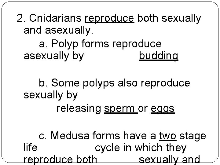 2. Cnidarians reproduce both sexually and asexually. a. Polyp forms reproduce asexually by budding