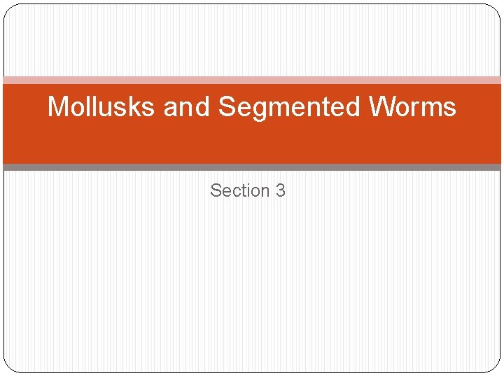 Mollusks and Segmented Worms Section 3 