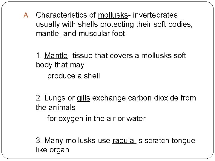 A. Characteristics of mollusks- invertebrates usually with shells protecting their soft bodies, mantle, and