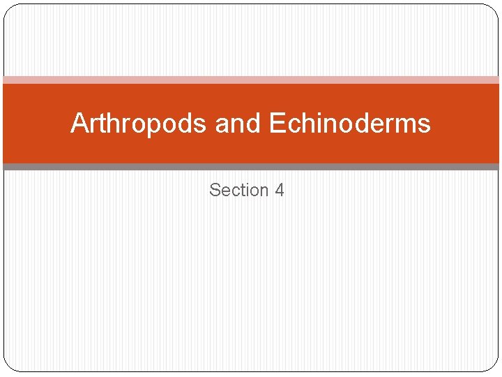 Arthropods and Echinoderms Section 4 