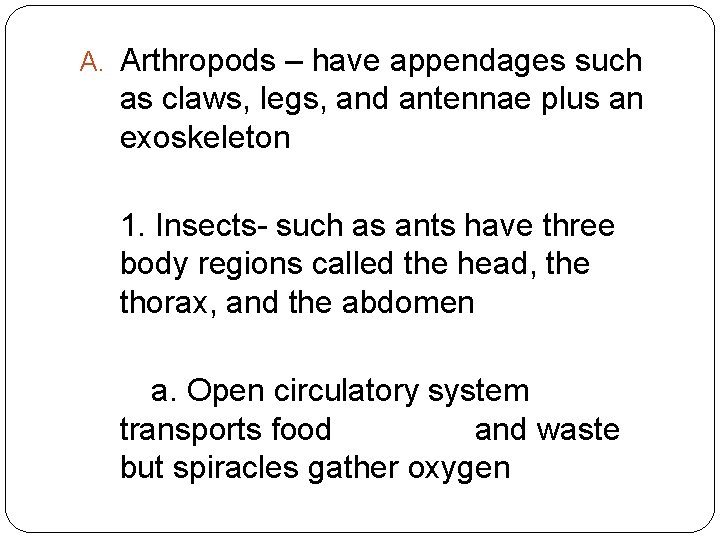 A. Arthropods – have appendages such as claws, legs, and antennae plus an exoskeleton