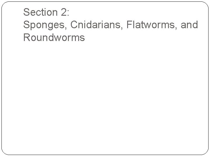 Section 2: Sponges, Cnidarians, Flatworms, and Roundworms 