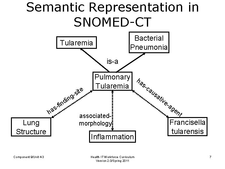 Semantic Representation in SNOMED-CT Bacterial Pneumonia Tularemia is-a s-f ha Lung Structure Component 9/Unit