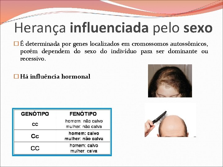 Herança influenciada pelo sexo � É determinada por genes localizados em cromossomos autossômicos, porém