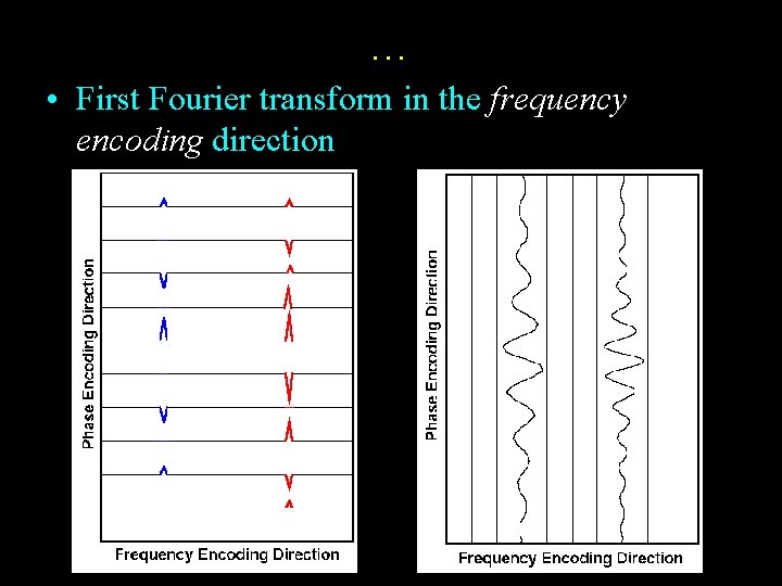 … • First Fourier transform in the frequency encoding direction 