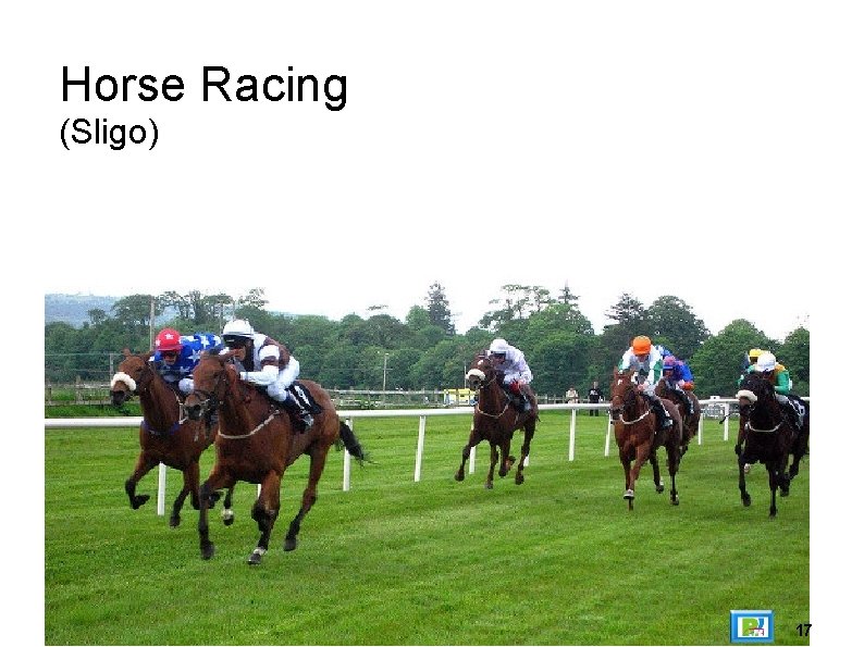 Horse Racing (Sligo) 17 