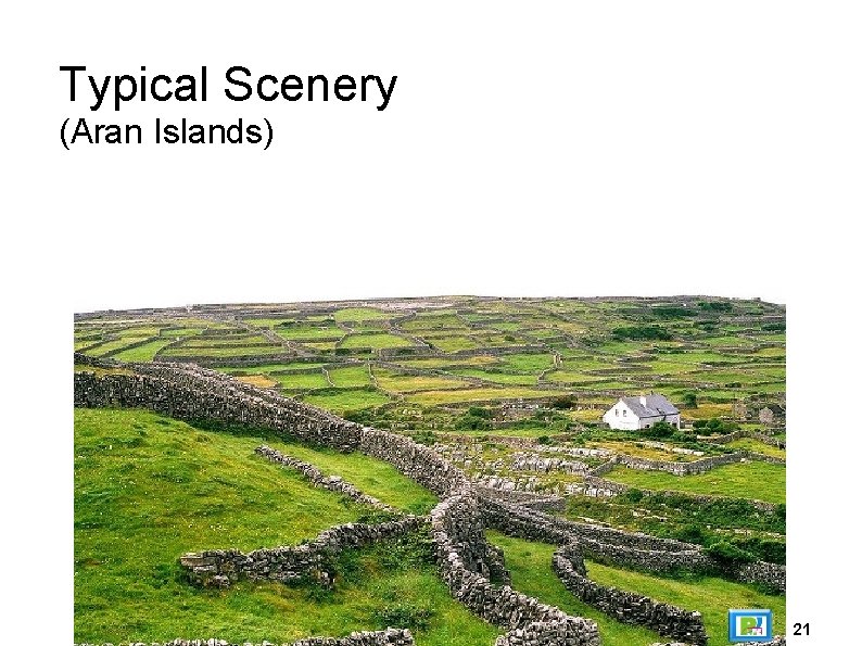 Typical Scenery (Aran Islands) 21 