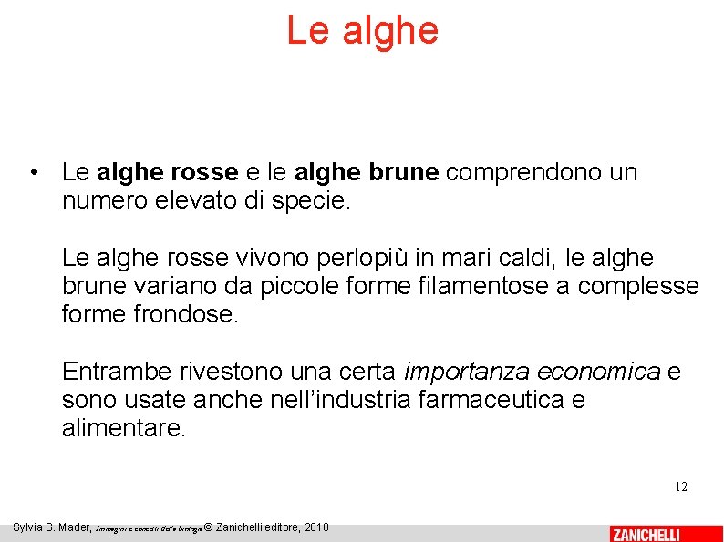 Le alghe • Le alghe rosse e le alghe brune comprendono un numero elevato