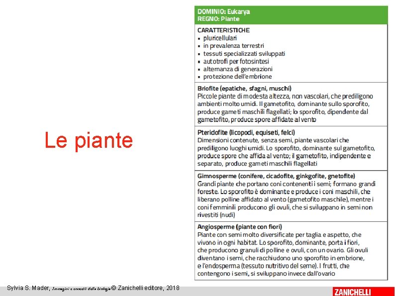 Le piante 14 Sylvia S. Mader, Immagini e concetti della biologia © Zanichelli editore,