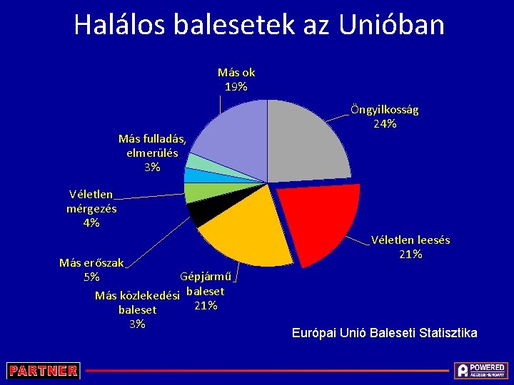 Halálos balesetek az Unióban Más ok 19% Más fulladás, elmerülés 3% Öngyilkosság 24% Véletlen