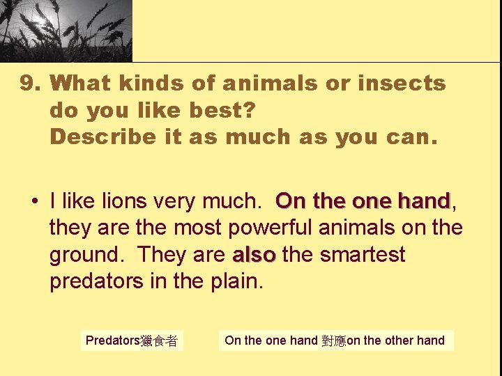 9. What kinds of animals or insects do you like best? Describe it as