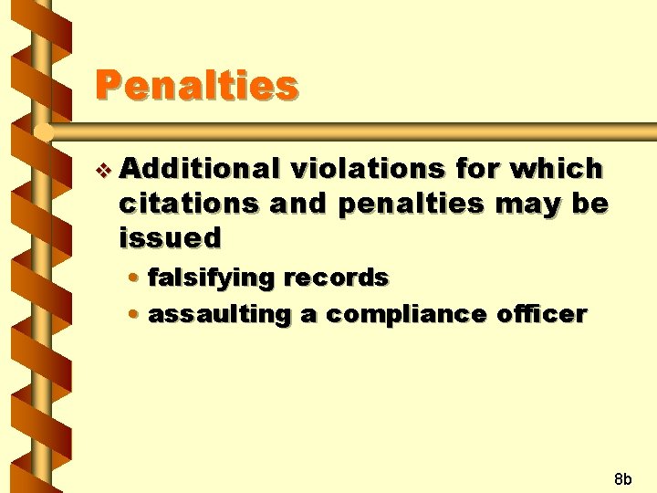 Penalties v Additional violations for which citations and penalties may be issued • falsifying