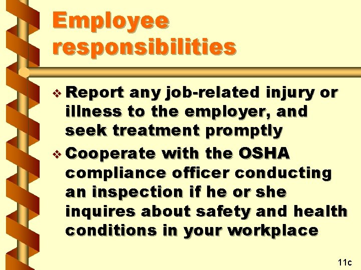 Employee responsibilities v Report any job-related injury or illness to the employer, and seek
