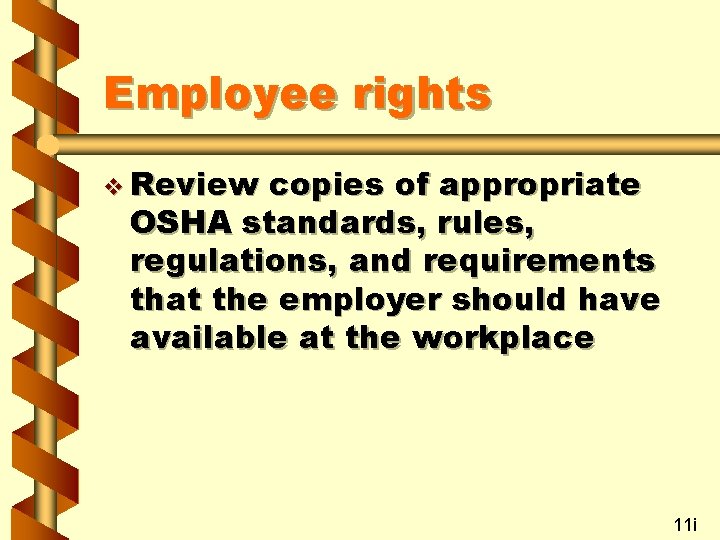 Employee rights v Review copies of appropriate OSHA standards, rules, regulations, and requirements that