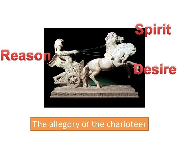 Spirit Reason Desire The allegory of the charioteer 