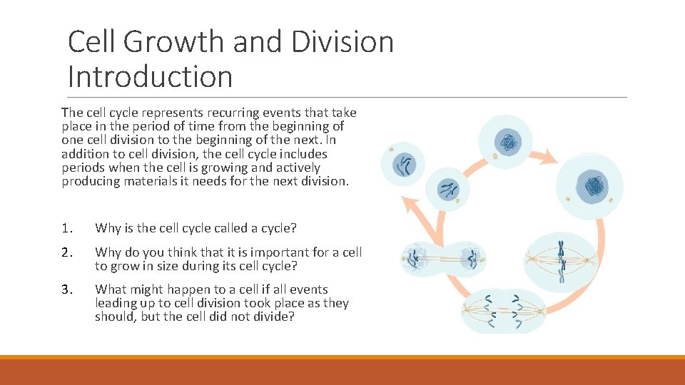 Cell Growth and Division Introduction The cell cycle represents recurring events that take place