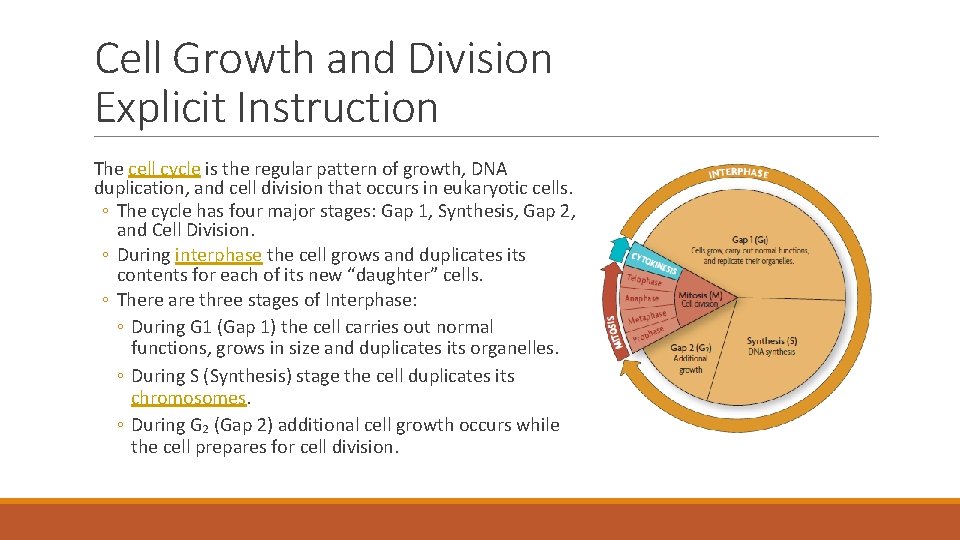 Cell Growth and Division Explicit Instruction The cell cycle is the regular pattern of