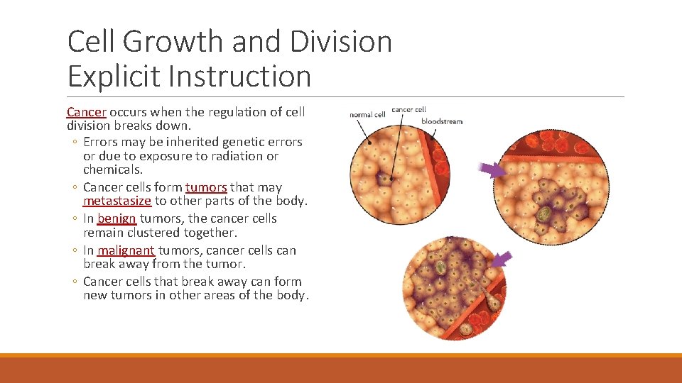 Cell Growth and Division Explicit Instruction Cancer occurs when the regulation of cell division