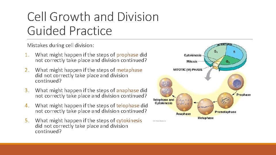 Cell Growth and Division Guided Practice Mistakes during cell division: 1. What might happen