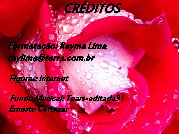 CRÉDITOS Formatação: Rayma Lima raylima@terra. com. br Figuras: Internet Fundo Musical: Tears-editada 3 Ernesto