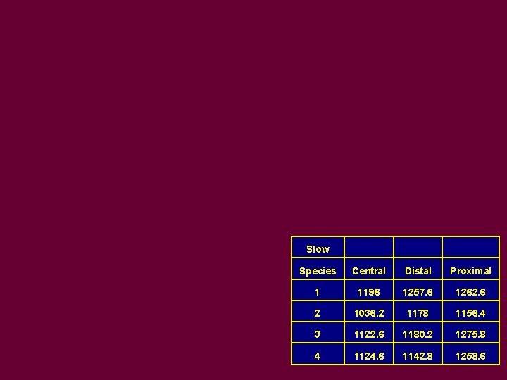 Slow Species Central Distal Proximal 1 1196 1257. 6 1262. 6 2 1036. 2 Slow Species Central Distal Proximal 1 1196 1257. 6 1262. 6 2 1036. 2