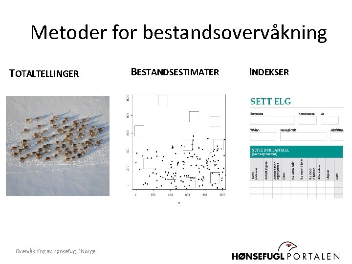 Metoder for bestandsovervåkning TOTALTELLINGER Overvåkning av hønsefugl i Norge BESTANDSESTIMATER INDEKSER 