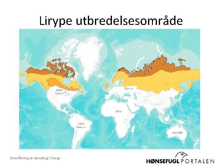 Lirype utbredelsesområde Overvåkning av hønsefugl i Norge 