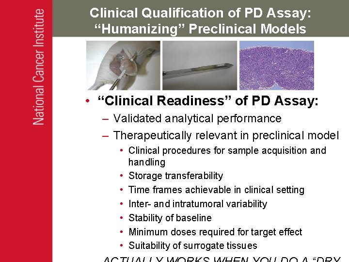 Clinical Qualification of PD Assay: “Humanizing” Preclinical Models • “Clinical Readiness” of PD Assay: