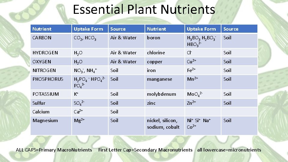Essential Plant Nutrients Nutrient Uptake Form Source CARBON CO 2, HCO 3 Air &