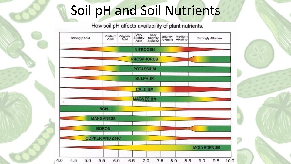 Soil p. H and Soil Nutrients 