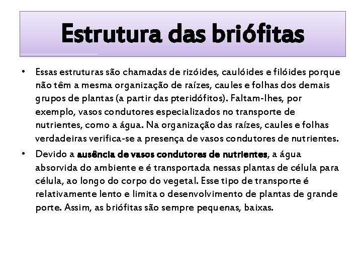 Estrutura das briófitas • Essas estruturas são chamadas de rizóides, caulóides e filóides porque