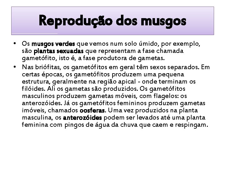 Reprodução dos musgos • Os musgos verdes que vemos num solo úmido, por exemplo,