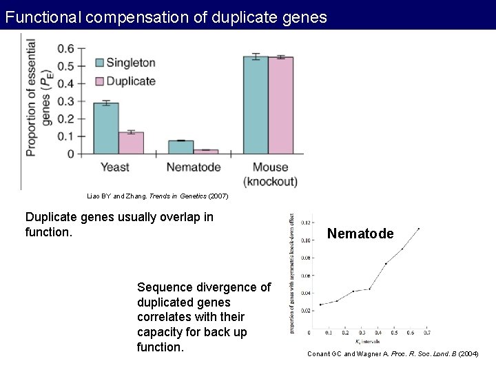 Functional compensation of duplicate genes Essentiality of duplicated Liao BY and Zhang. Trends in Functional compensation of duplicate genes Essentiality of duplicated Liao BY and Zhang. Trends in
