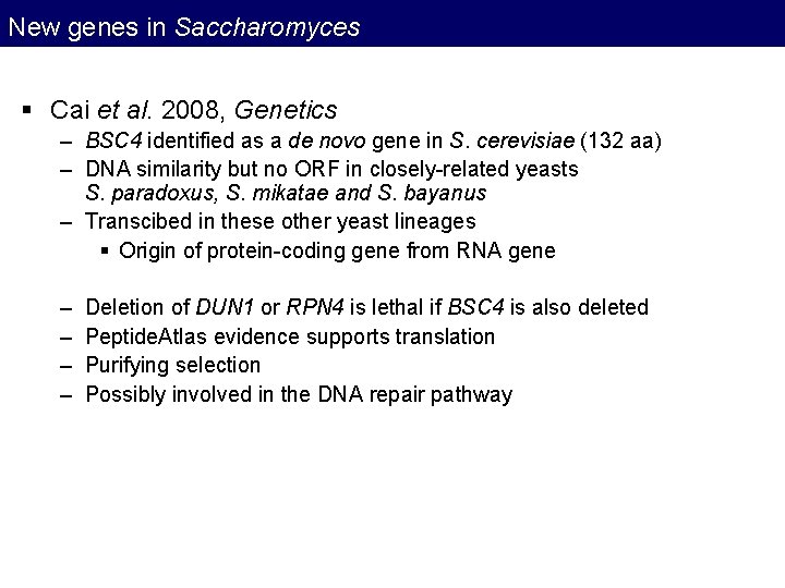 New genes in Saccharomyces § Cai et al. 2008, Genetics – BSC 4 identified New genes in Saccharomyces § Cai et al. 2008, Genetics – BSC 4 identified