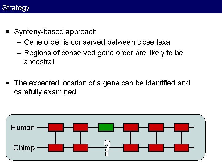 Strategy § Synteny-based approach – Gene order is conserved between close taxa – Regions Strategy § Synteny-based approach – Gene order is conserved between close taxa – Regions