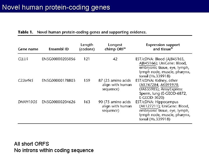 Novel human protein-coding genes All short ORFS No introns within coding sequence Novel human protein-coding genes All short ORFS No introns within coding sequence