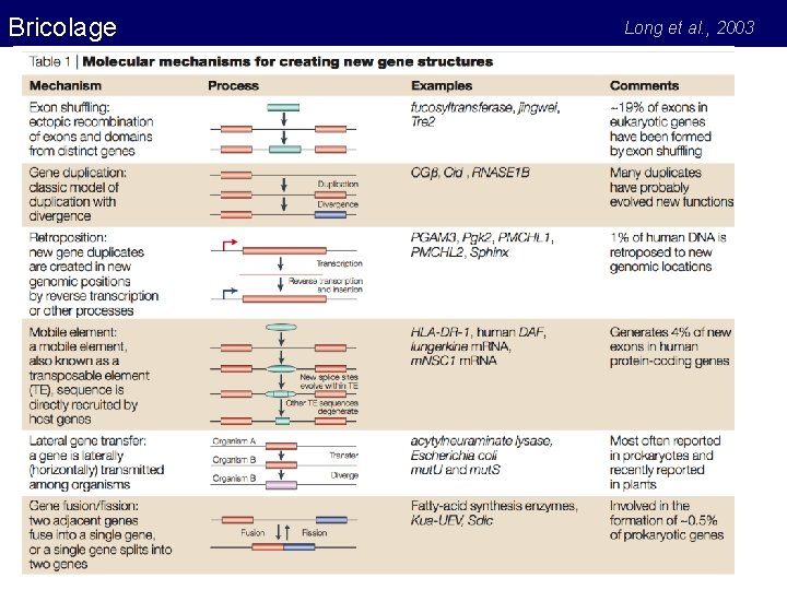 Bricolage Long et al. , 2003 Bricolage Long et al. , 2003
