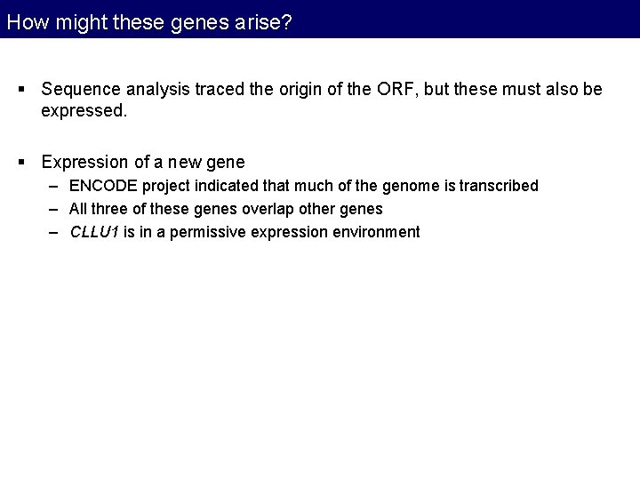 How might these genes arise? § Sequence analysis traced the origin of the ORF, How might these genes arise? § Sequence analysis traced the origin of the ORF,