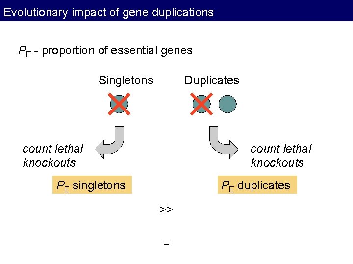 Evolutionary impact of gene duplications PE - proportion of essential genes Singletons Duplicates count Evolutionary impact of gene duplications PE - proportion of essential genes Singletons Duplicates count